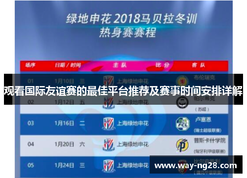 观看国际友谊赛的最佳平台推荐及赛事时间安排详解