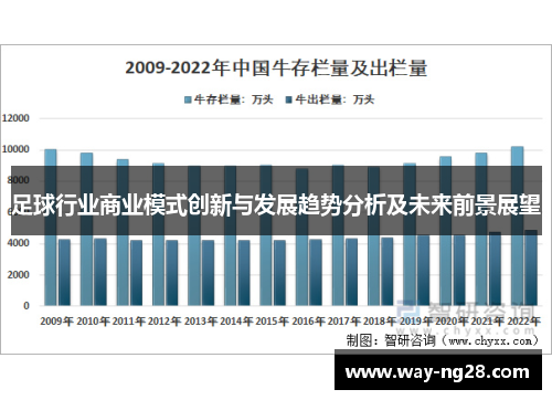 足球行业商业模式创新与发展趋势分析及未来前景展望