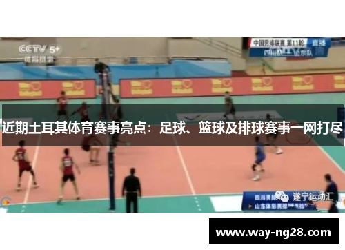 近期土耳其体育赛事亮点：足球、篮球及排球赛事一网打尽