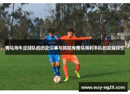 青岛海牛足球队的历史沿革与其前身青岛海利丰队的发展探索 青岛海牛足球队的历史沿革与其前身青岛海利丰队的发展探索