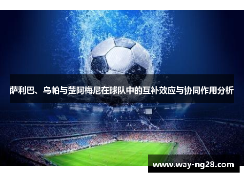 萨利巴、乌帕与楚阿梅尼在球队中的互补效应与协同作用分析