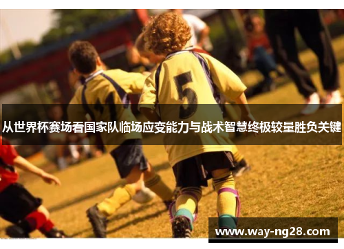 从世界杯赛场看国家队临场应变能力与战术智慧终极较量胜负关键