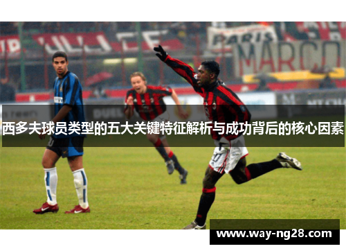 西多夫球员类型的五大关键特征解析与成功背后的核心因素