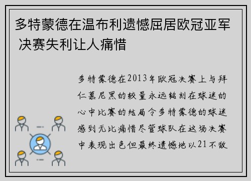 多特蒙德在温布利遗憾屈居欧冠亚军 决赛失利让人痛惜