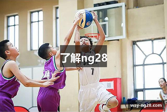 了解ng28
